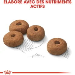 Royal Canin Maxi Sterilised - Croquettes pour chien 12kg