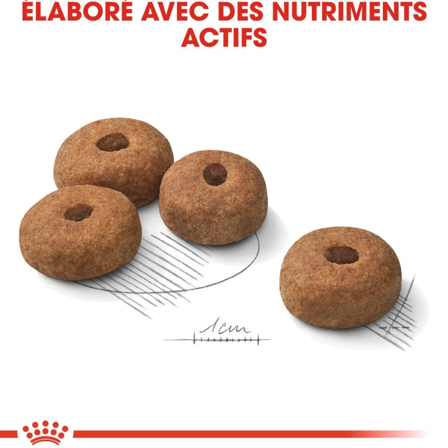 Royal Canin Maxi Sterilised - Croquettes pour chien 12kg