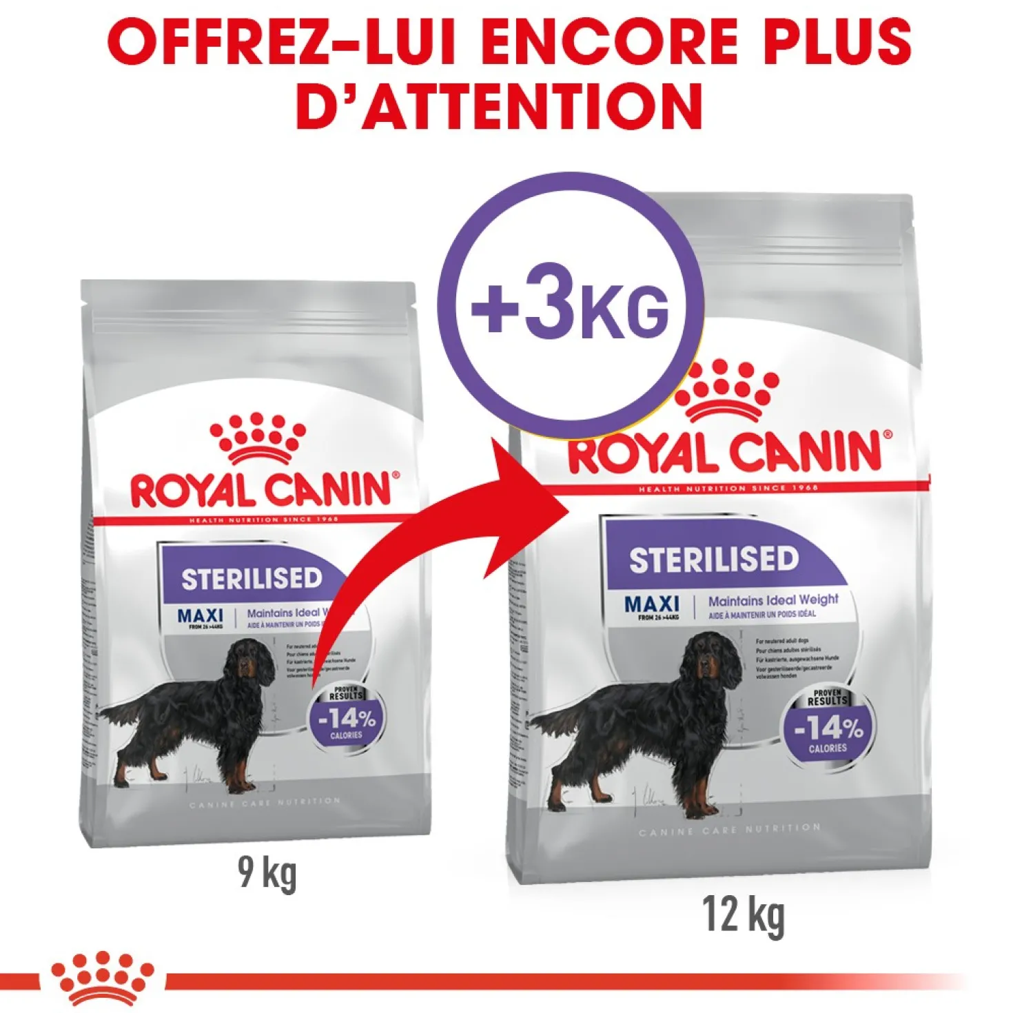 Royal Canin Maxi Sterilised - Croquettes pour chien 12kg