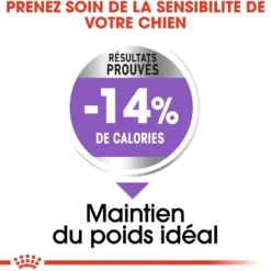 Royal Canin Maxi Sterilised - Croquettes pour chien 12kg