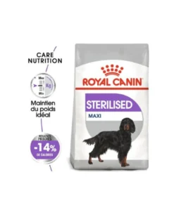 Royal Canin Maxi Sterilised - Croquettes pour chien 12kg