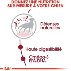 Royal Canin Medium Adult - croquettes chien
