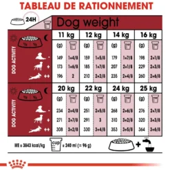 Royal Canin Medium Adult - croquettes chien