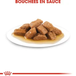 ROYAL CANIN Medium Adult en Sauce - Pâtée pour chien