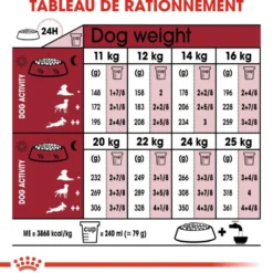 Royal Canin Medium Ageing 10+ - croquettes chien