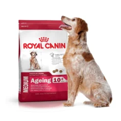Royal Canin Medium Ageing 10+ - croquettes chien