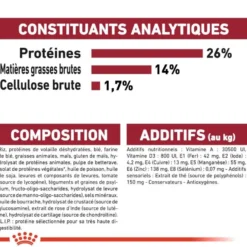 Royal Canin Medium Ageing 10+ - croquettes chien