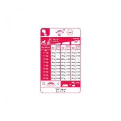 Royal Canin Medium Ageing 10+ - croquettes chien
