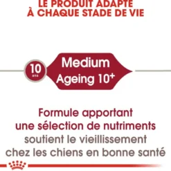 Royal Canin Medium Ageing 10+ - croquettes chien
