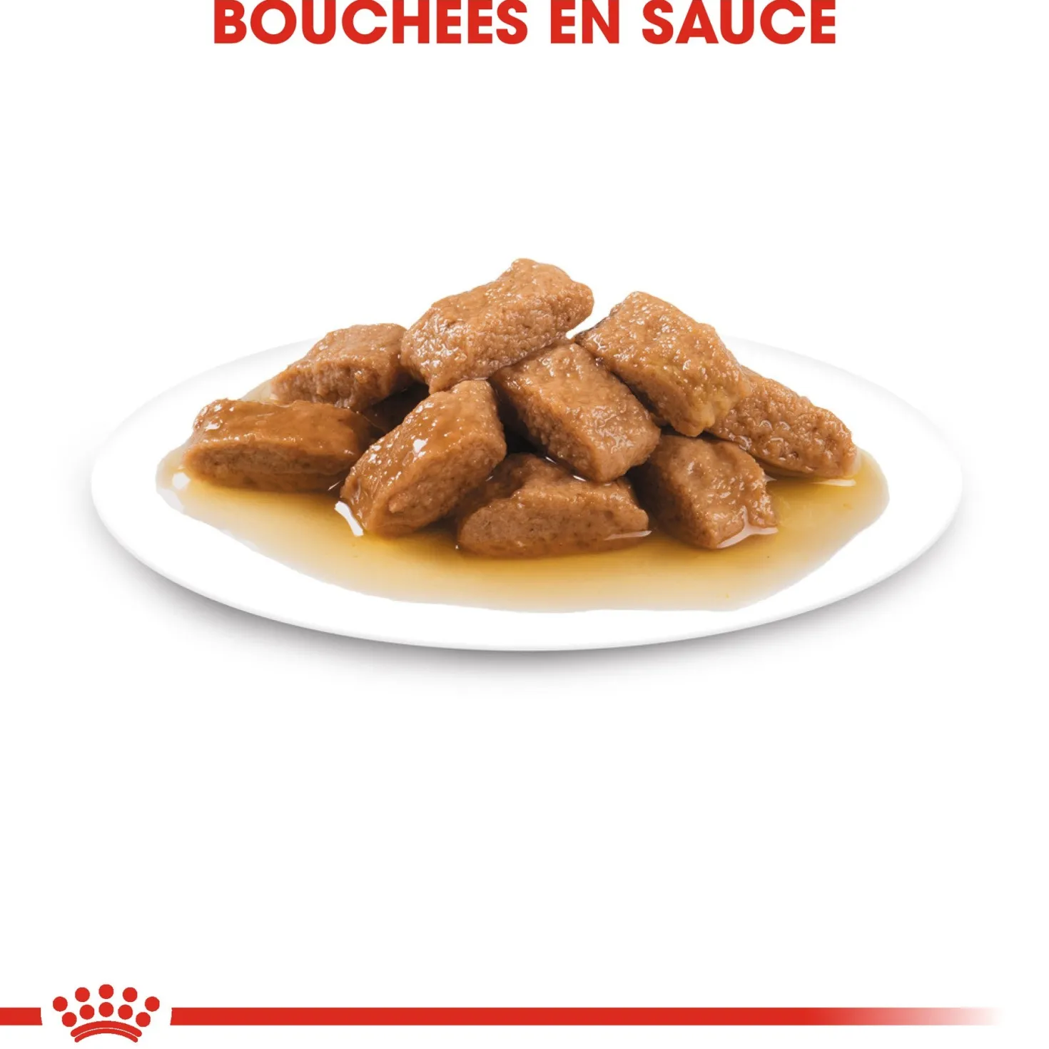 Royal Canin Medium Ageing 10+ en sauce - pâtée chien