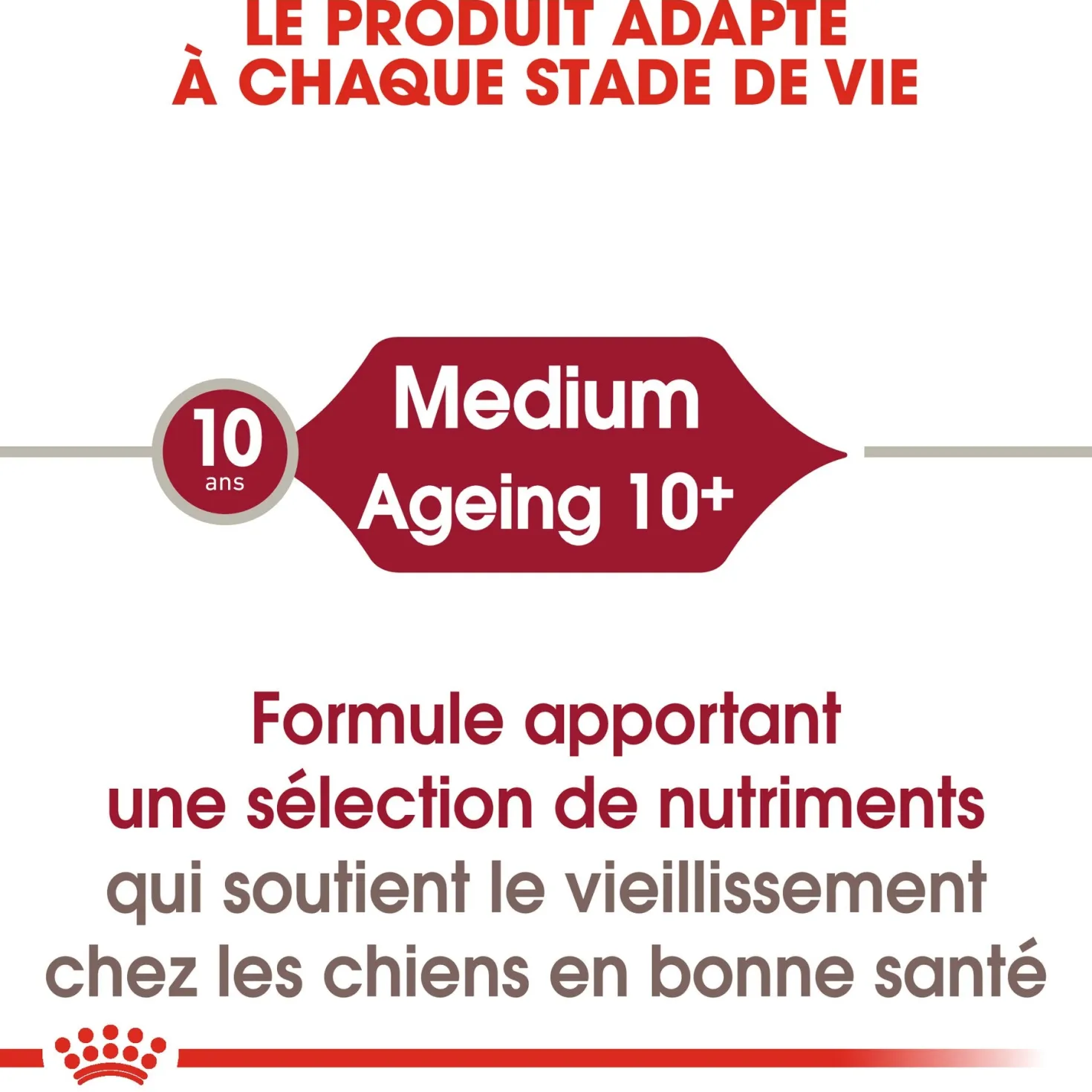 Royal Canin Medium Ageing 10+ en sauce - pâtée chien