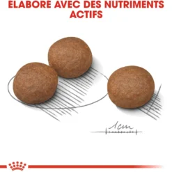 Royal Canin Medium Digestive Care - Croquettes pour chien