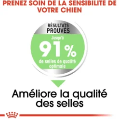 Royal Canin Medium Digestive Care - Croquettes pour chien