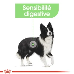 Royal Canin Medium Digestive Care - Croquettes pour chien