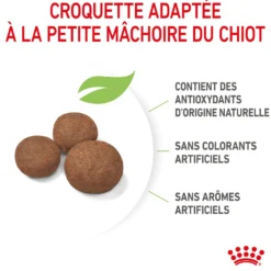 Royal Canin Medium Puppy - croquettes chiot