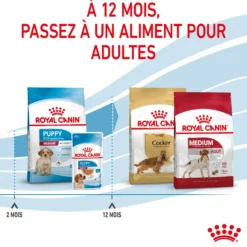 Royal Canin Medium Puppy - croquettes chiot