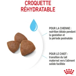 Royal Canin Medium Starter - croquettes chiot, chienne