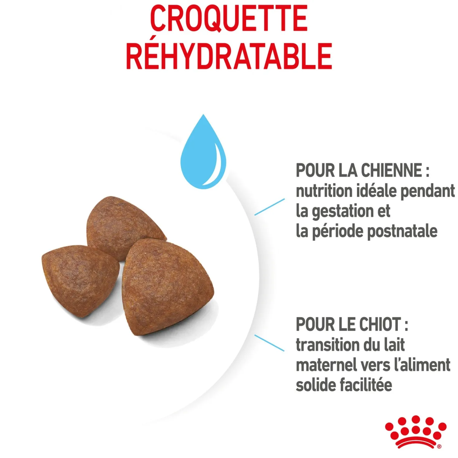 Royal Canin Medium Starter - croquettes chiot, chienne