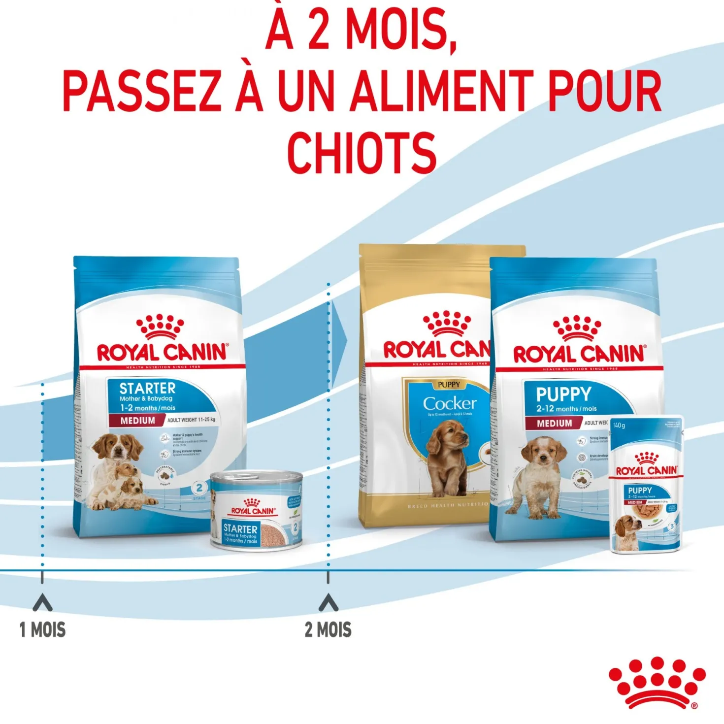 Royal Canin Medium Starter - croquettes chiot, chienne