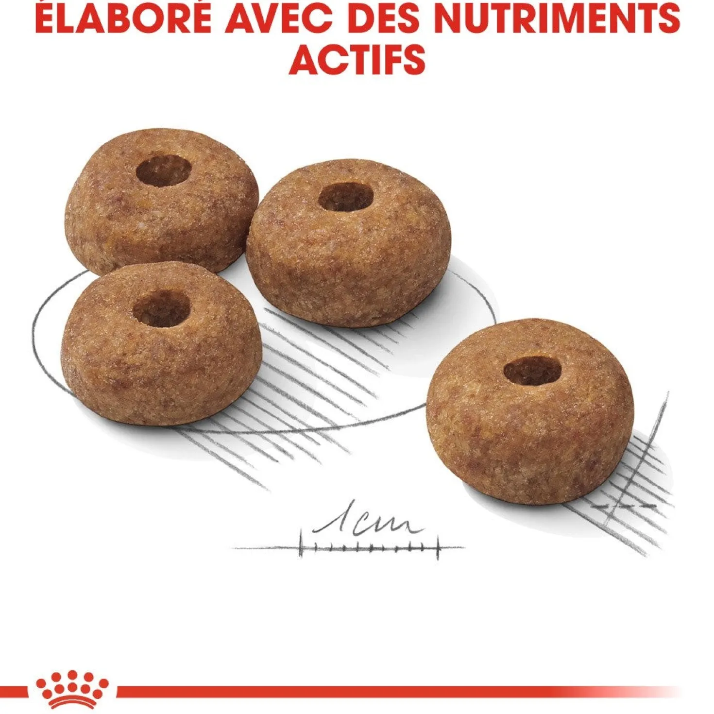 Royal Canin Medium Sterilised - Croquettes pour chien