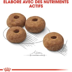 Royal Canin Medium Sterilised - Croquettes pour chien