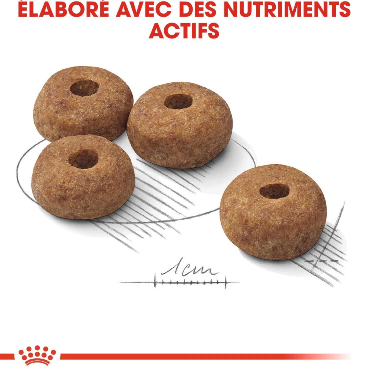 Royal Canin Medium Sterilised - Croquettes pour chien