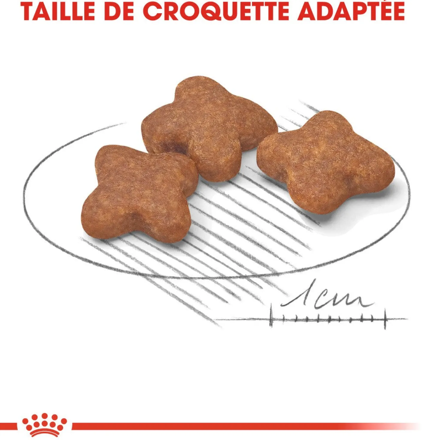 Royal Canin Mini Adult 8+ - croquettes chien
