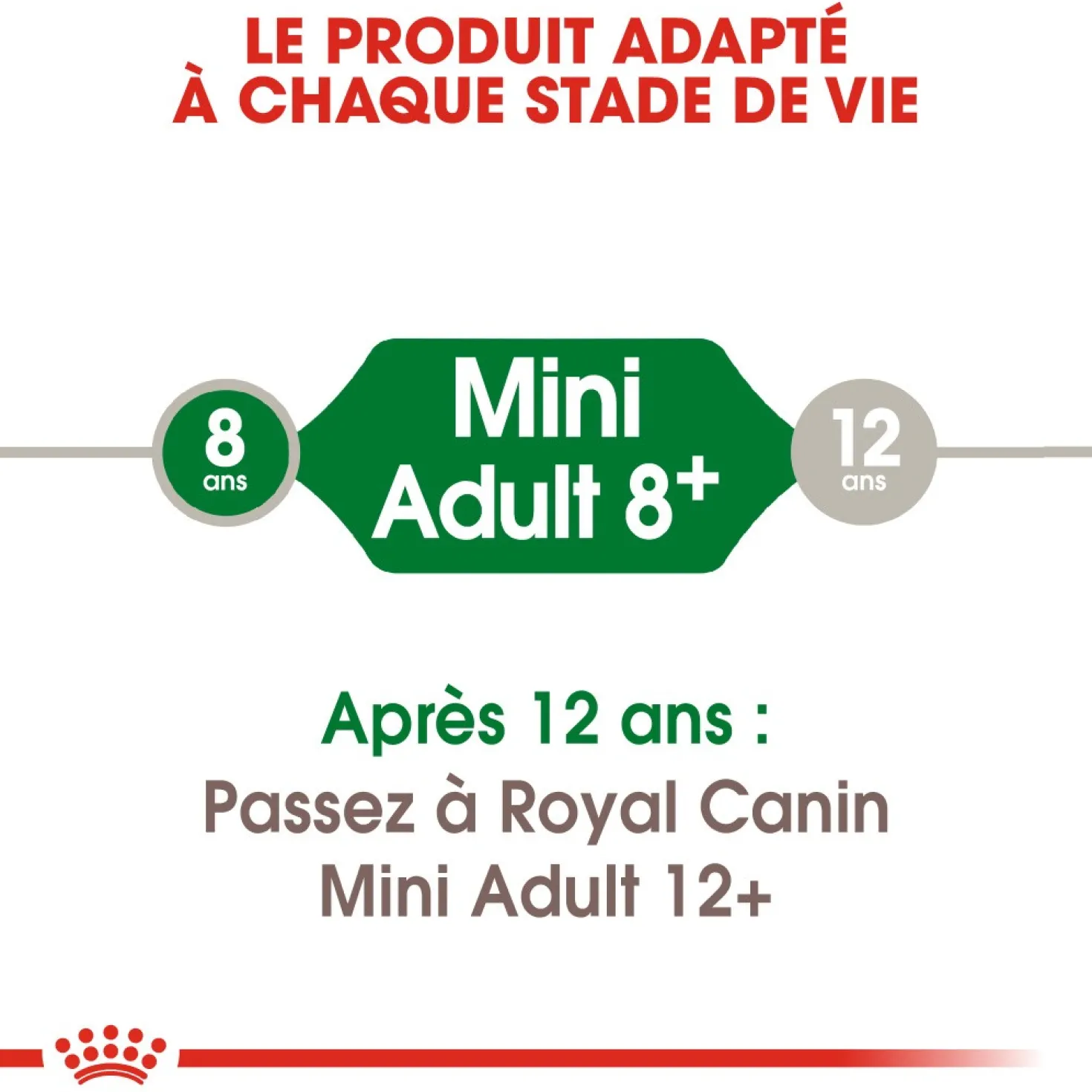 Royal Canin Mini Adult 8+ - croquettes chien
