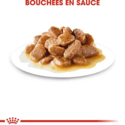 Royal Canin Mini Adult - Pâtée pour chien