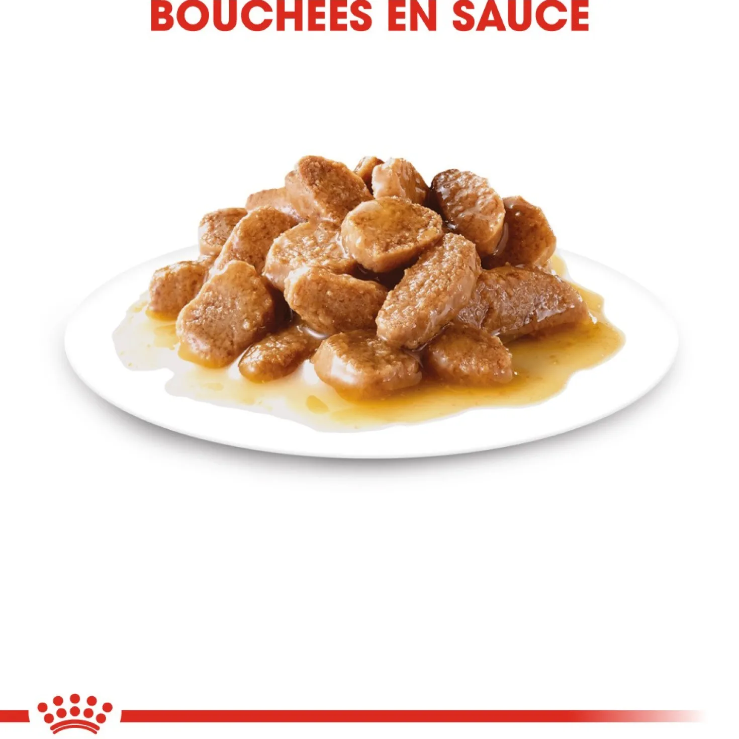 Royal Canin Mini Adult - Pâtée pour chien
