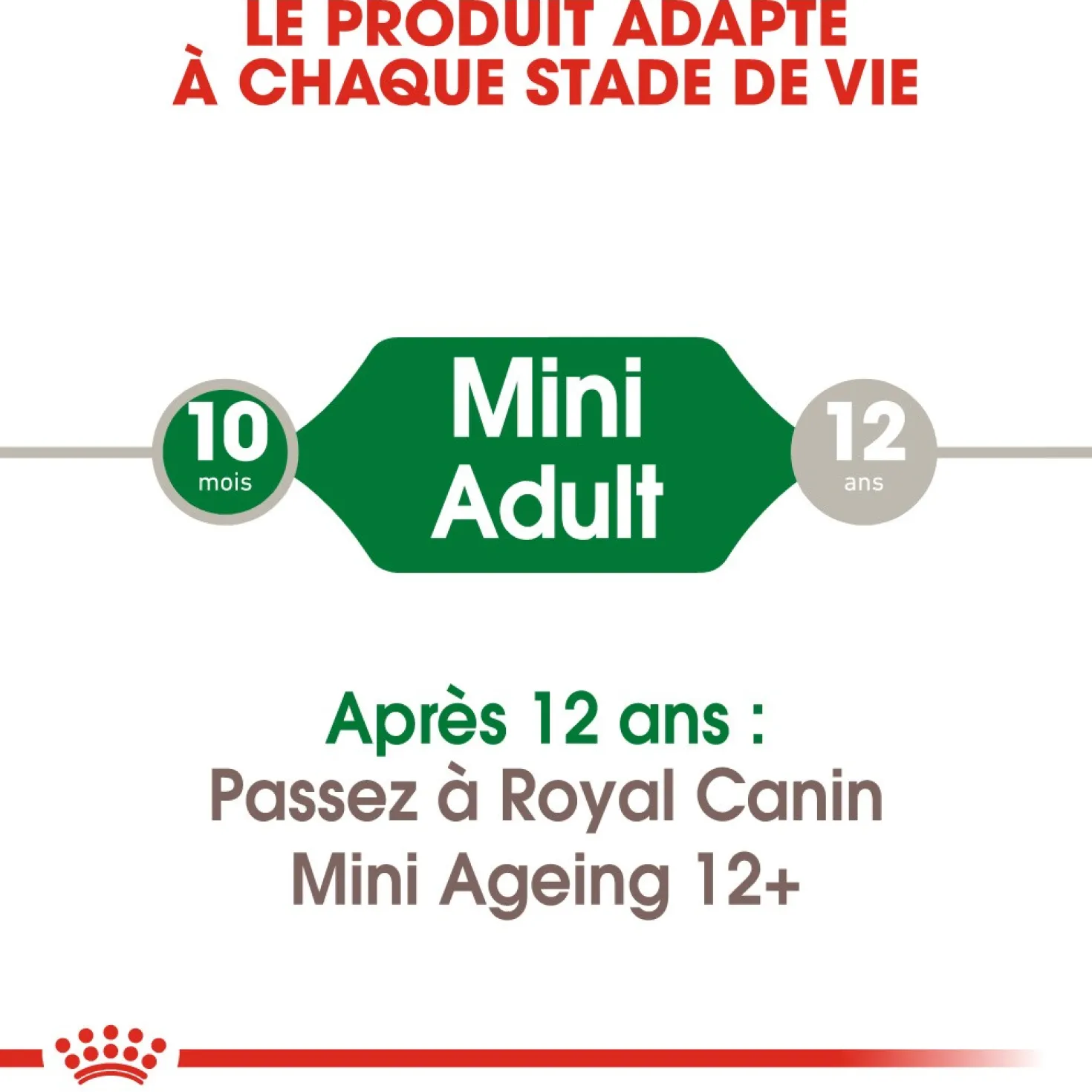 Royal Canin Mini Adult - Pâtée pour chien