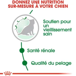 Royal Canin Mini Ageing 12+ - croquettes chien