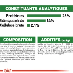 Royal Canin Mini Ageing 12+ - croquettes chien