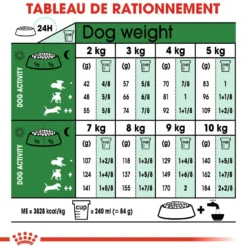 Royal Canin Mini Ageing 12+ - croquettes chien