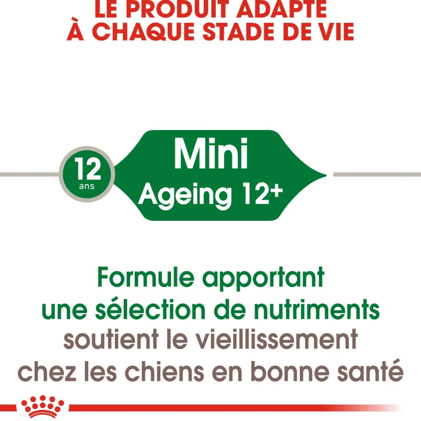 Royal Canin Mini Ageing 12 - pâtée chien