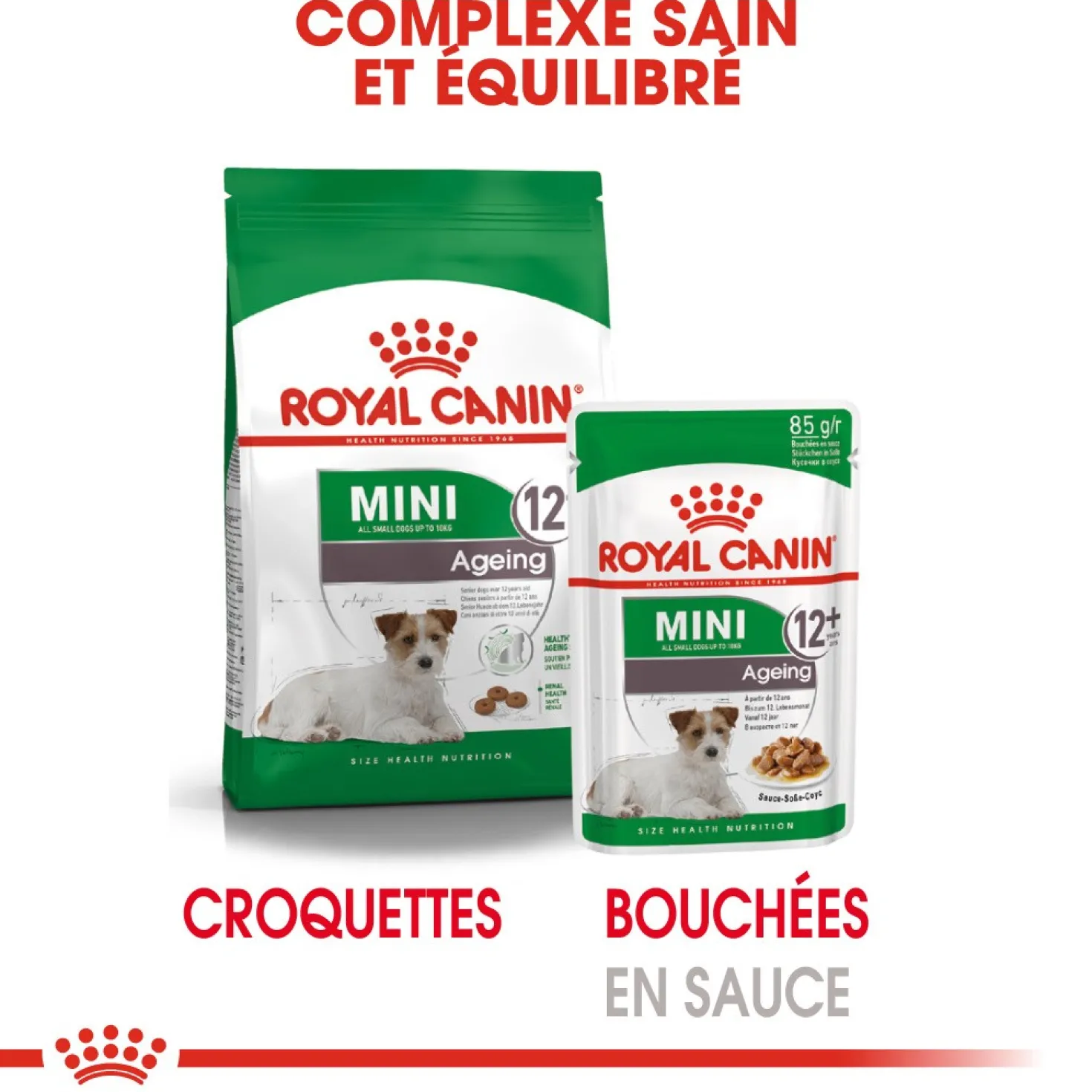 Royal Canin Mini Ageing 12 - pâtée chien