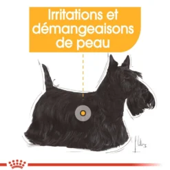 Royal Canin Mini Dermaconfort - Croquettes pour chien