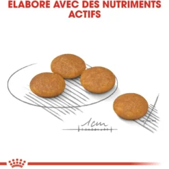 Royal Canin Mini Dermaconfort - Croquettes pour chien