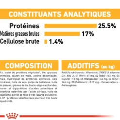 Royal Canin Mini Dermaconfort - Croquettes pour chien