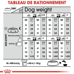 Royal Canin Mini Dermaconfort - Croquettes pour chien