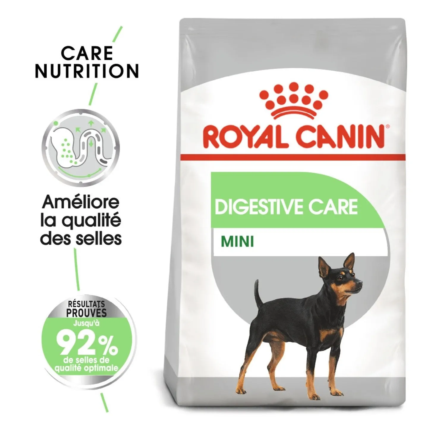 Royal Canin Mini Digestive Care - Croquettes pour chien