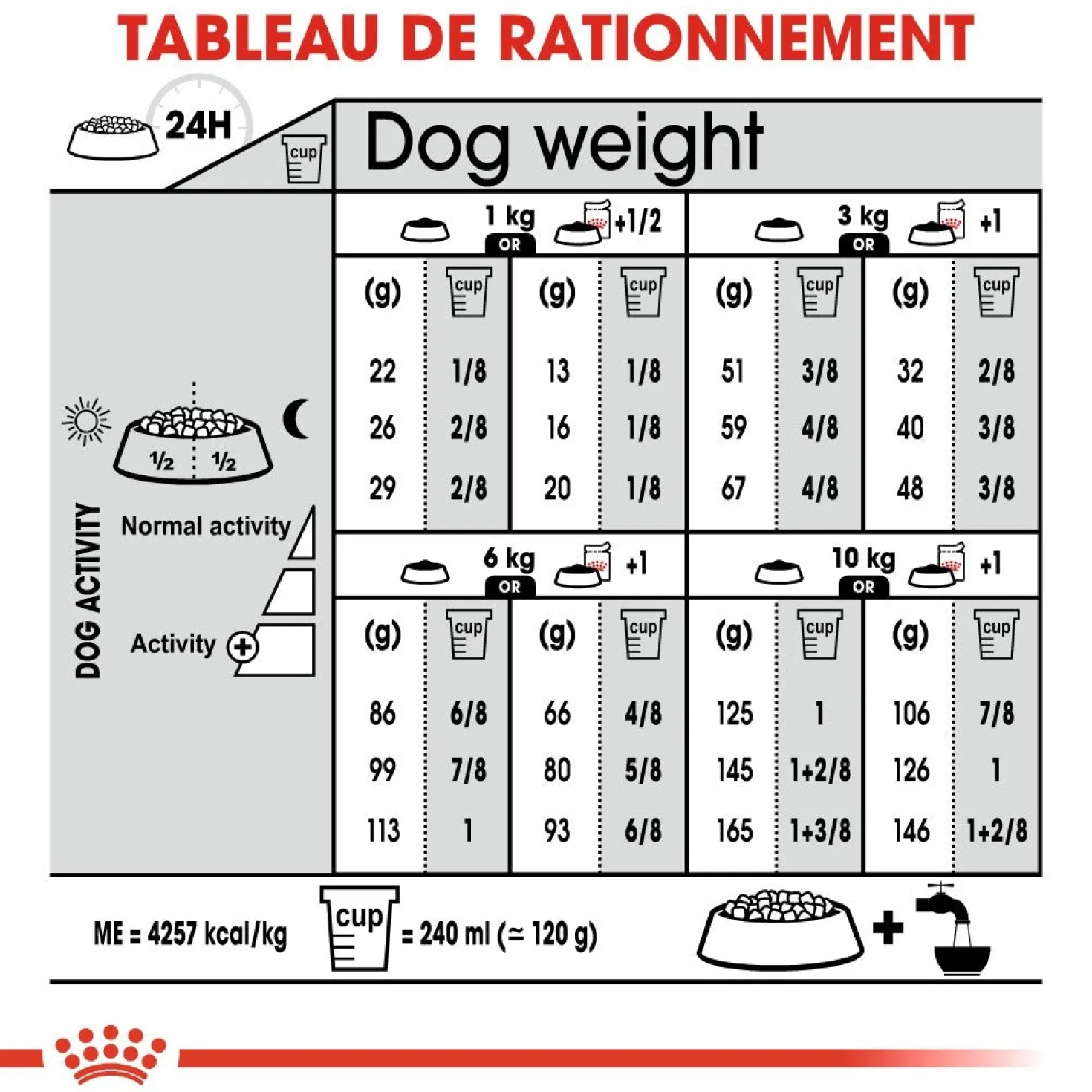 Royal Canin Mini Digestive Care - Croquettes pour chien