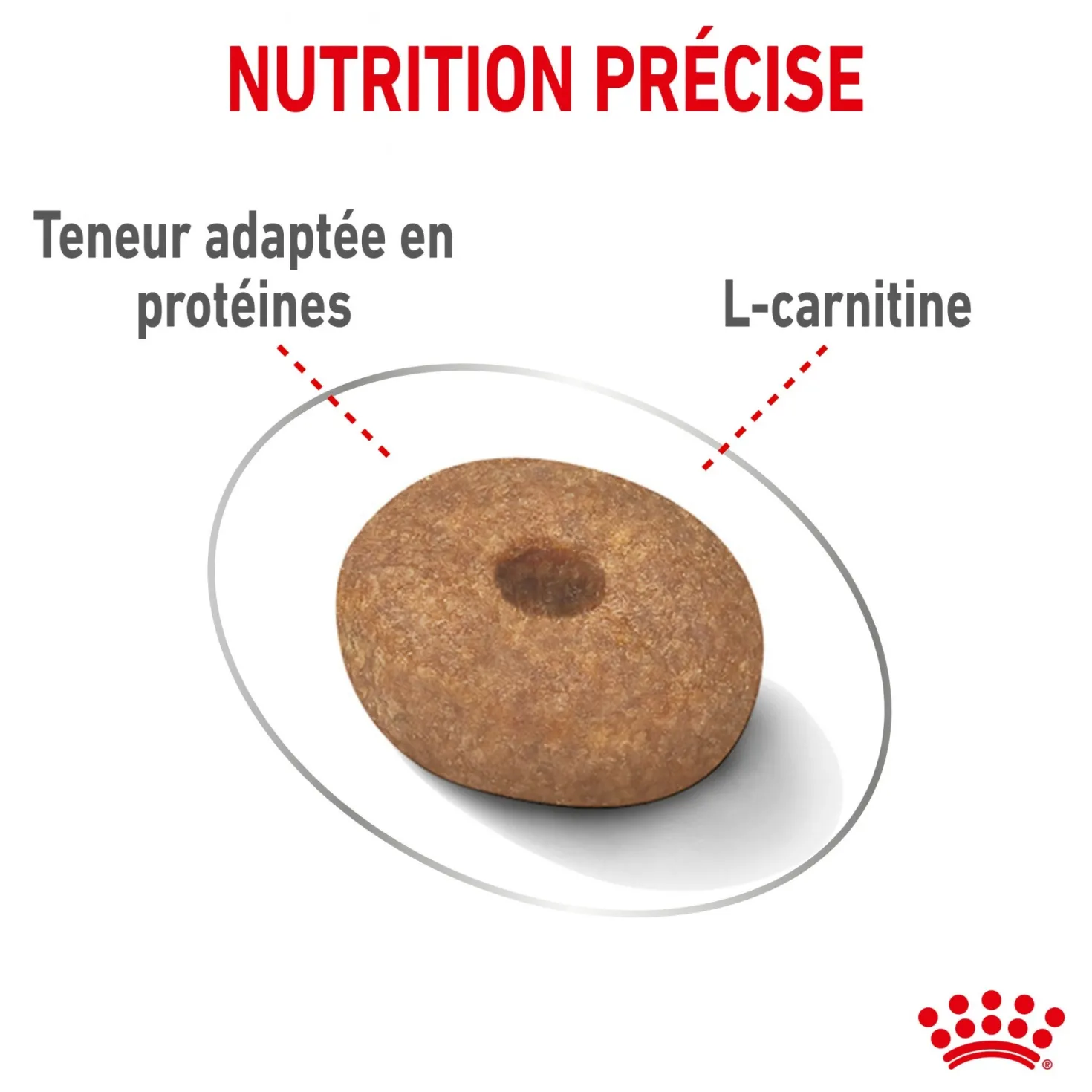 Royal Canin Mini Light Weight Care - Croquettes pour chien