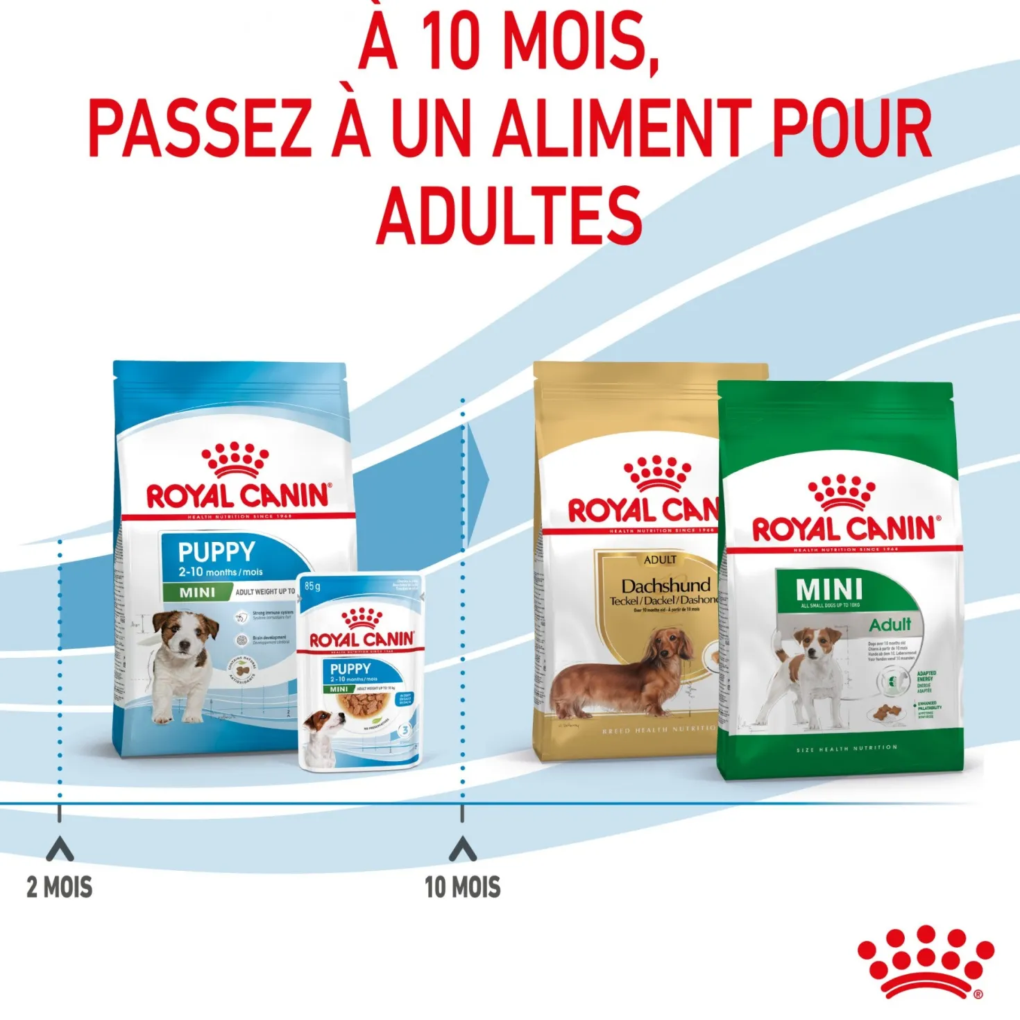 Royal Canin Mini Puppy - croquettes chiot