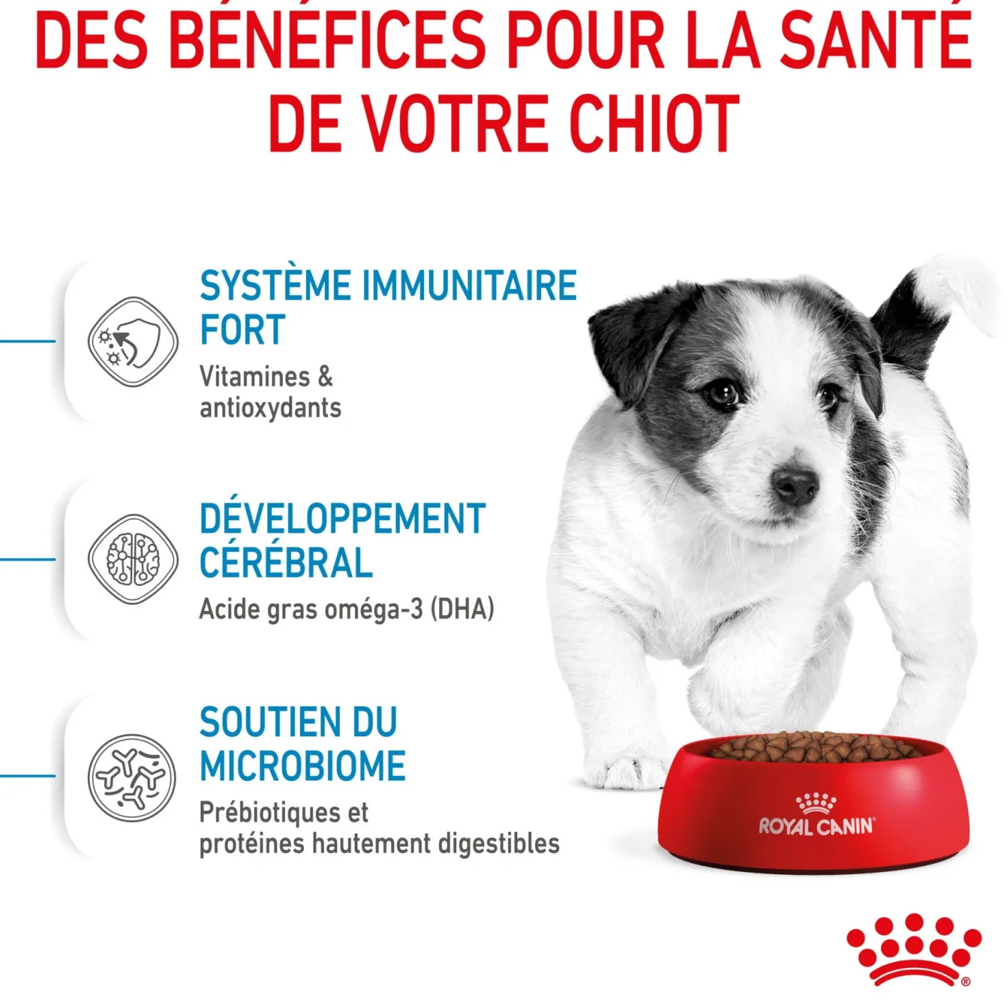 Royal Canin Mini Puppy - croquettes chiot