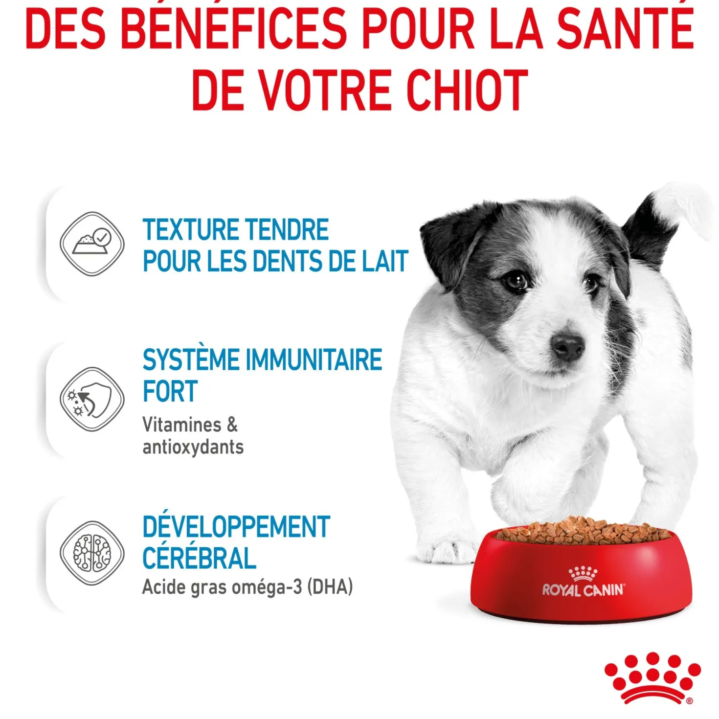 Royal Canin Mini Puppy - pâtée chiot