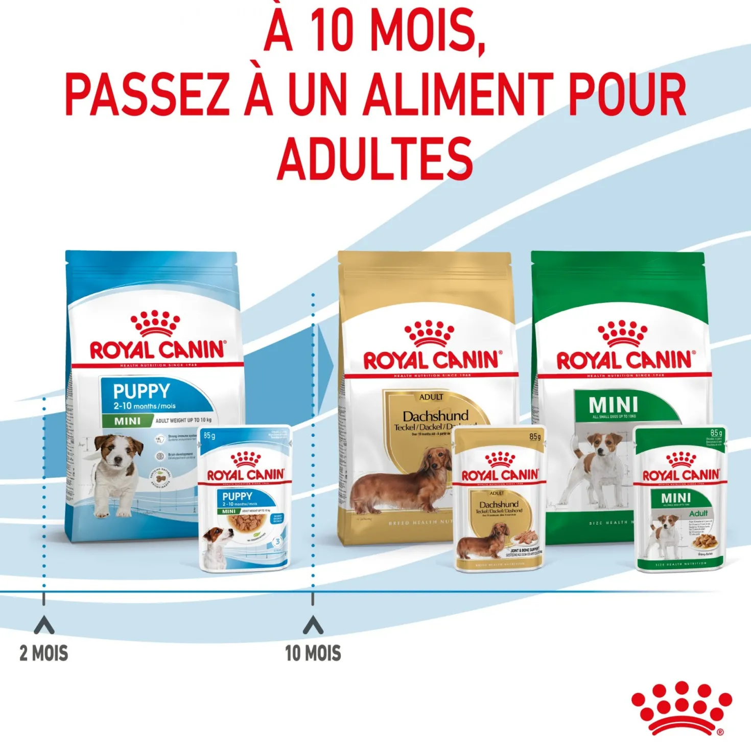 Royal Canin Mini Puppy - pâtée chiot