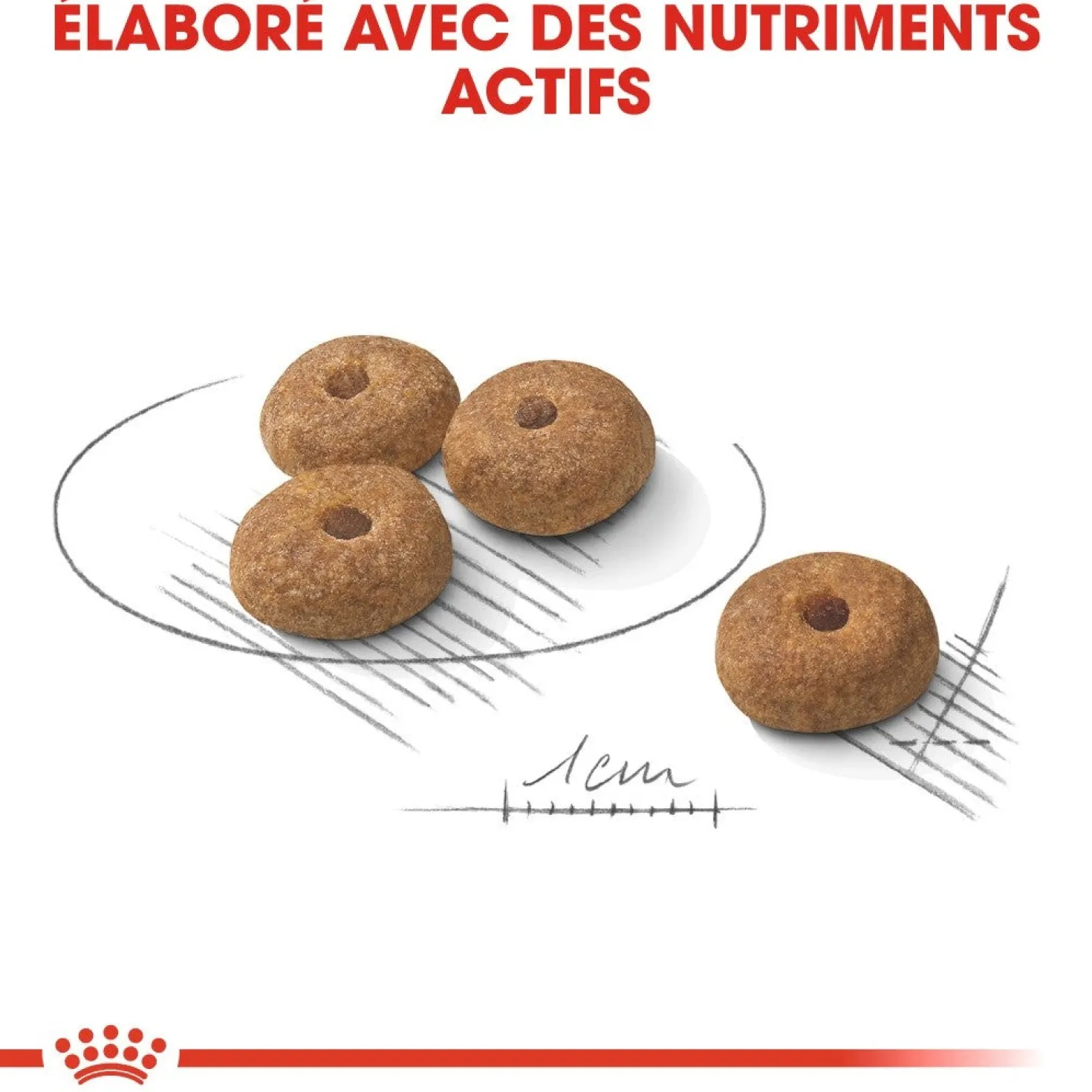 Royal Canin Mini Sterilised - croquettes chien