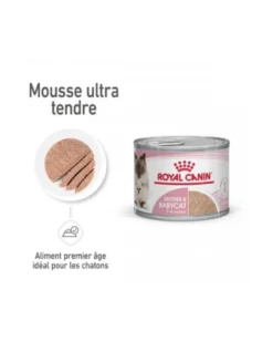 Royal Canin Mother & Babycat