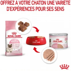 Royal Canin Mother & Babycat
